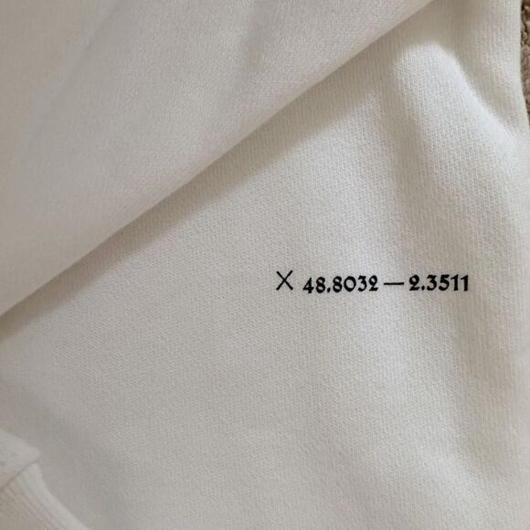 Zara white mid weight sweatshirt with text on front and back. NWOT M - Picture 8 of 15